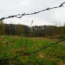 lviv holocaust tour by in lviv tours